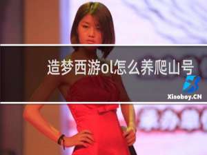 造梦西游ol怎么养爬山号