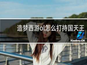 造梦西游ol怎么打持国天王