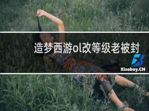造梦西游ol改等级老被封