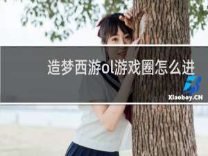 造梦西游ol游戏圈怎么进