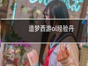 造梦西游ol经验丹