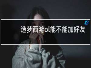 造梦西游ol能不能加好友