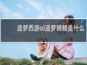 造梦西游ol造梦锦鲤是什么