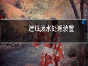 造纸废水处理装置