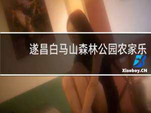 遂昌白马山森林公园农家乐