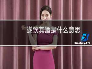 遂饮其酒是什么意思 百度网盘