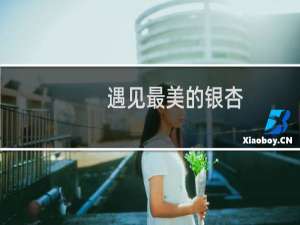 遇见最美的银杏