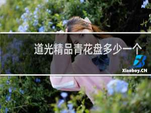 道光精品青花盘多少一个