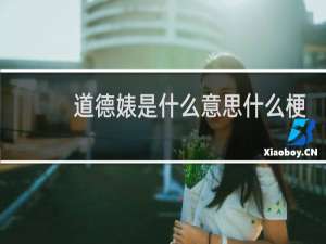道德婊是什么意思什么梗