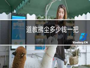 道教拂尘多少钱一把