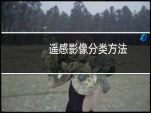 遥感影像分类方法