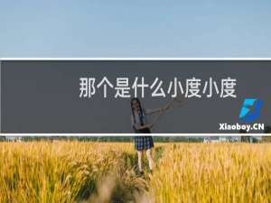 那个是什么小度小度