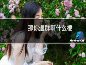 那你退群啊什么梗