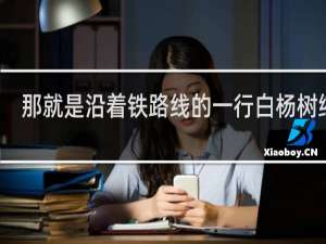 那就是沿着铁路线的一行白杨树缩句