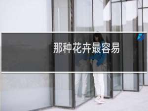 那种花卉最容易