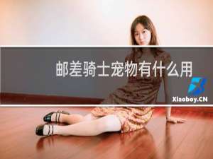 邮差骑士宠物有什么用