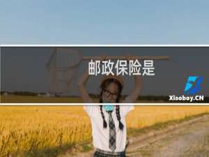 邮政保险是