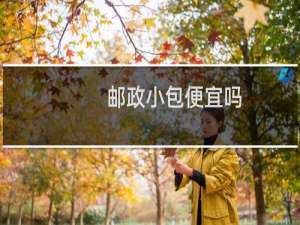 邮政小包便宜吗