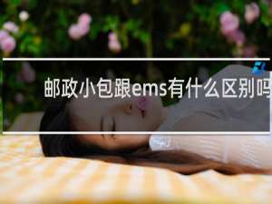 邮政小包跟ems有什么区别吗