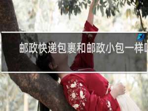 邮政快递包裹和邮政小包一样吗