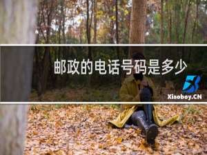 邮政的电话号码是多少