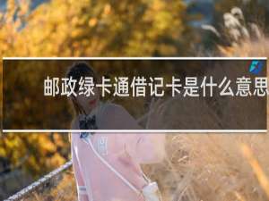 邮政绿卡通借记卡是什么意思