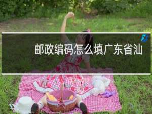 邮政编码怎么填广东省汕头市潮南区两英镇仙新村