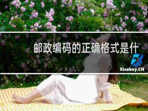 邮政编码的正确格式是什么