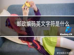 邮政编码英文字符是什么
