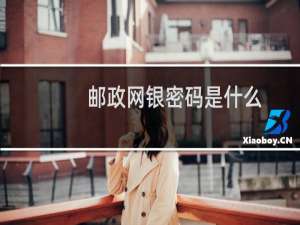 邮政网银密码是什么