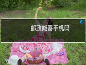 邮政能寄手机吗