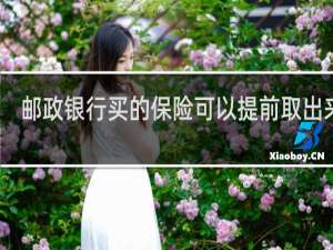 邮政银行买的保险可以提前取出来吗