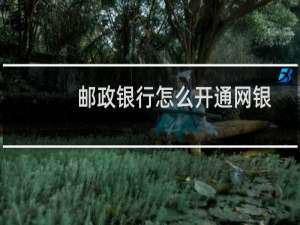 邮政银行怎么开通网银