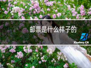 邮票是什么样子的
