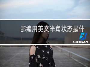 邮编用英文半角状态是什么样子的