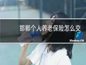 邯郸个人养老保险怎么交