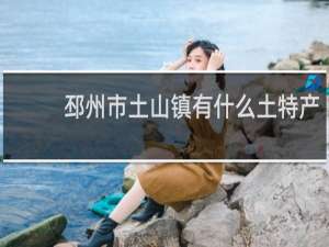 邳州市土山镇有什么土特产