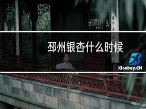 邳州银杏什么时候