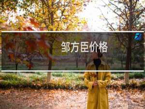 邹方臣价格