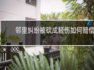 邻里纠纷被砍成轻伤如何赔偿