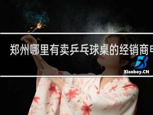 郑州哪里有卖乒乓球桌的经销商电话