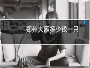 郑州大雁多少钱一只
