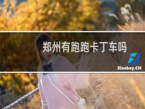 郑州有跑跑卡丁车吗
