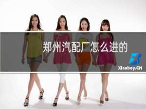 郑州汽配厂怎么进的