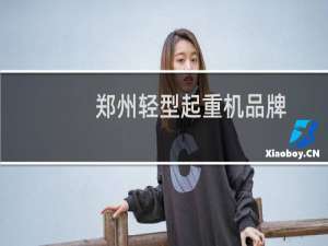 郑州轻型起重机品牌