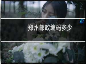 郑州邮政编码多少