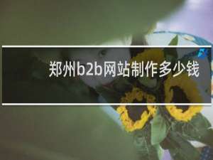 郑州b2b网站制作多少钱