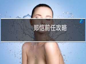 郑恺前任攻略