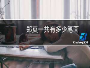 郑爽一共有多少笔画