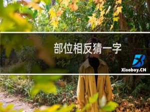 部位相反猜一字（部位相反打一字）